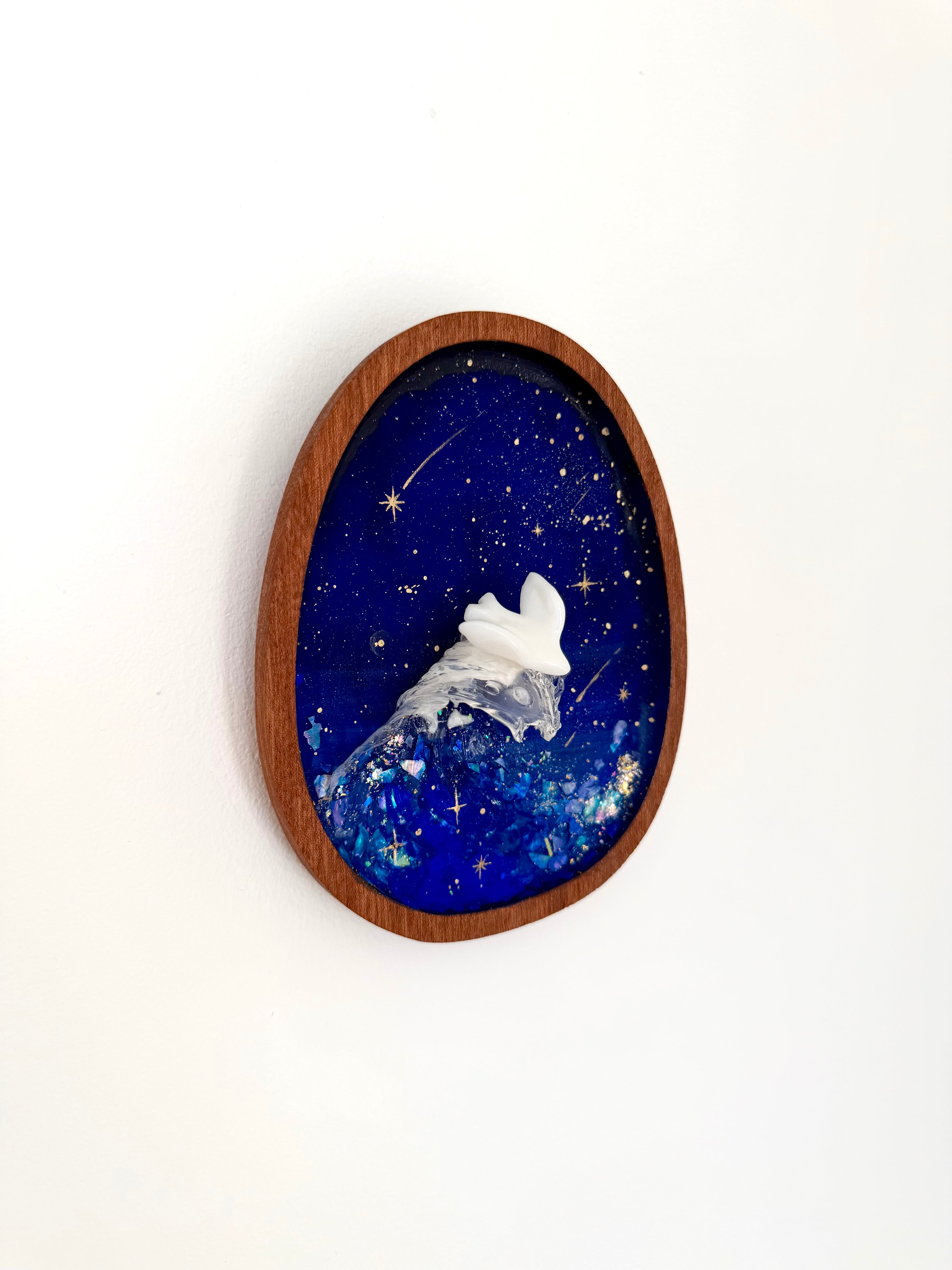 Star Surfer