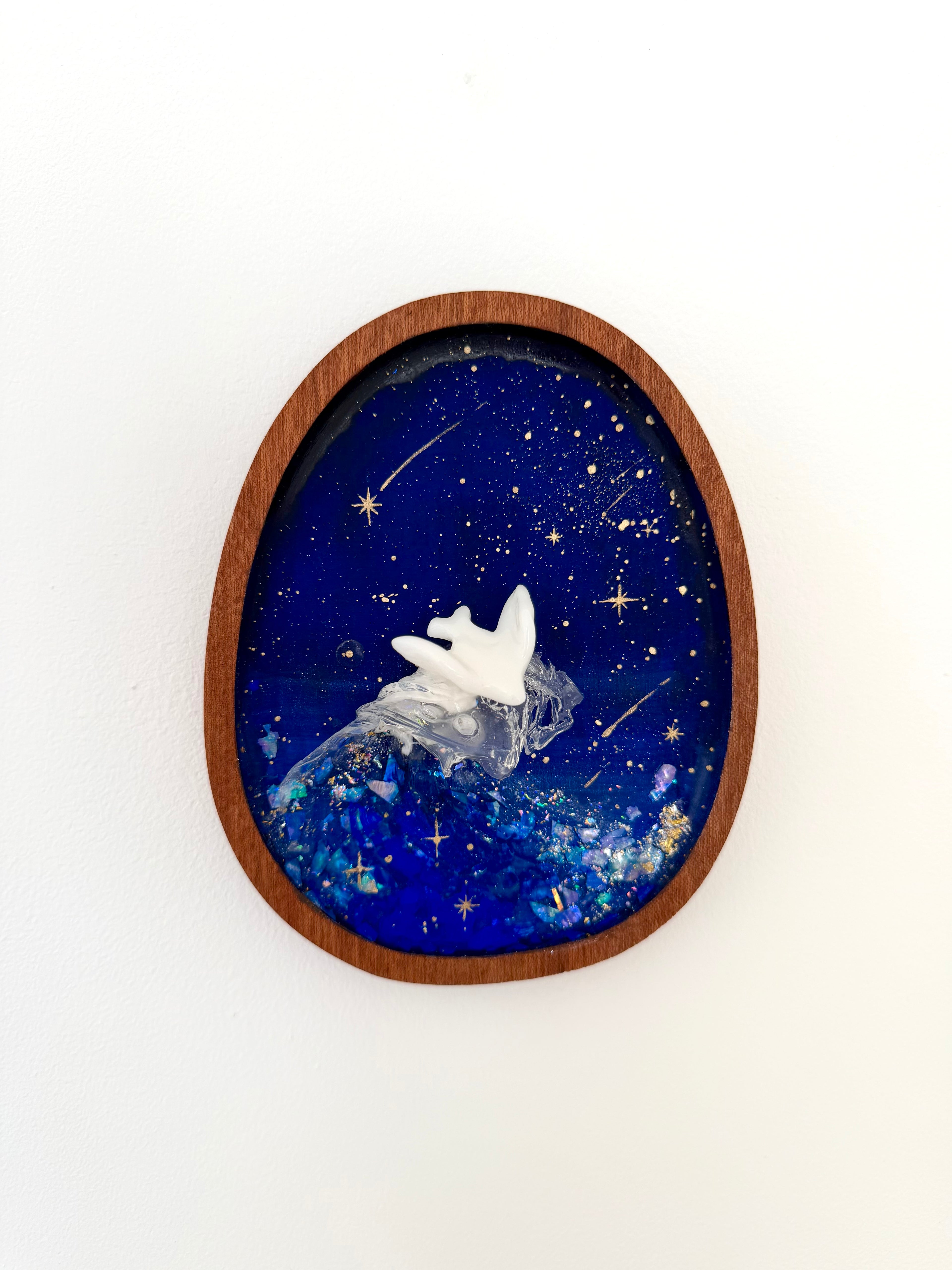 Star Surfer