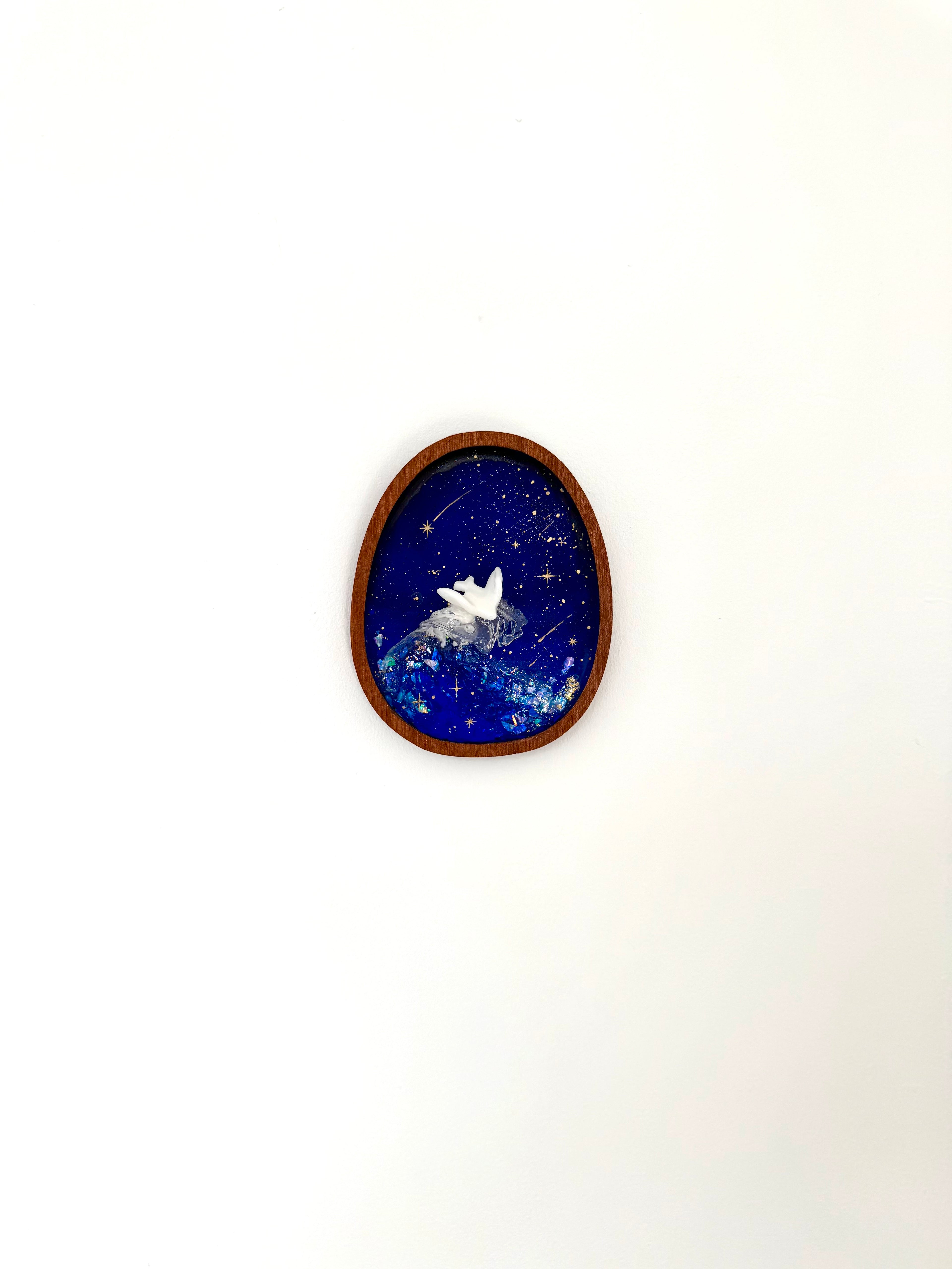 Star Surfer